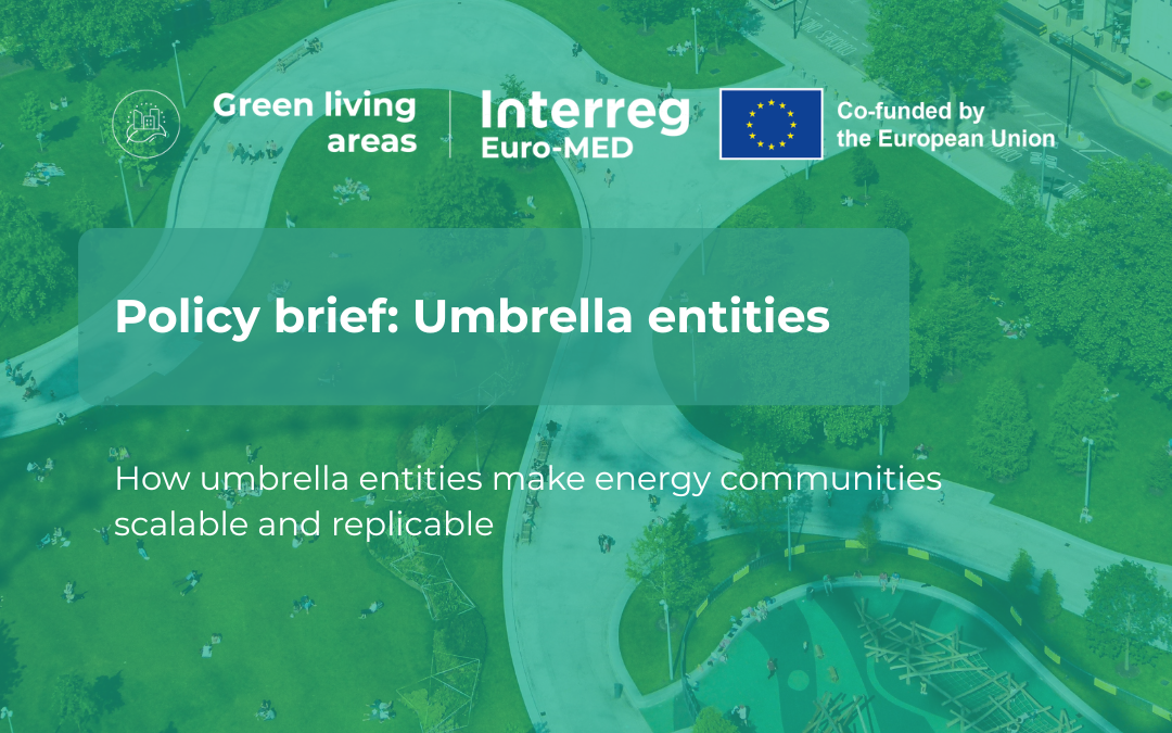 Results from the 2nd Institutional Policy Dialogue: Strengthening local energy communities through umbrella entities
