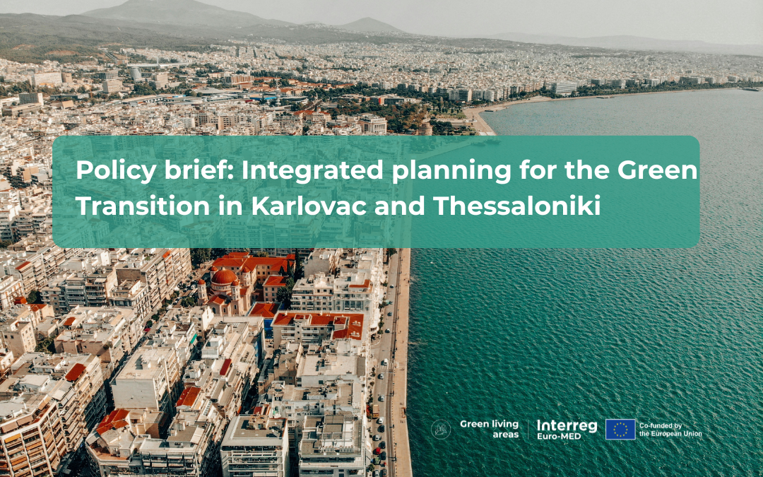 Results from the 2nd Institutional Policy Dialogue: Integrated planning for the Green Transition